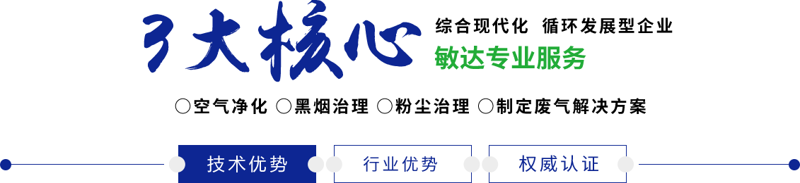 大粗鸡巴爆操老阿姨肥逼冒白浆视频敏达环保科技（嘉兴）有限公司